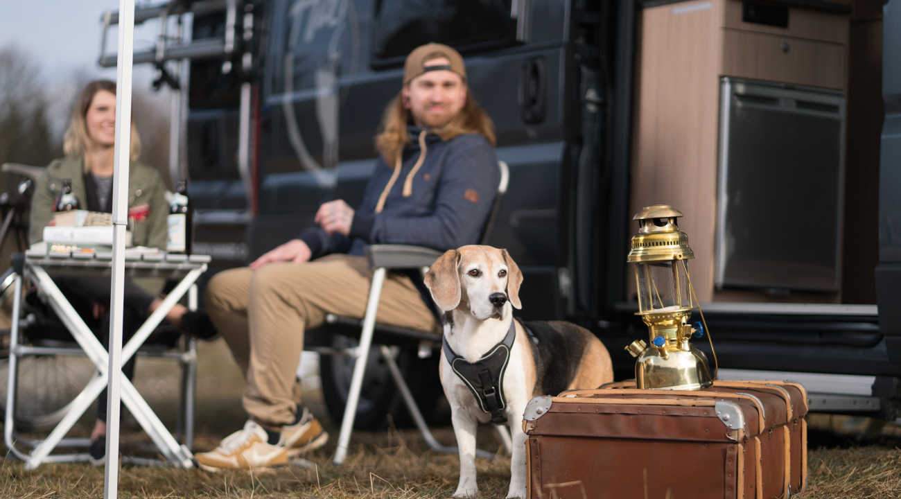 Wohnmobil mieten mit Hund - Hunde Hannes